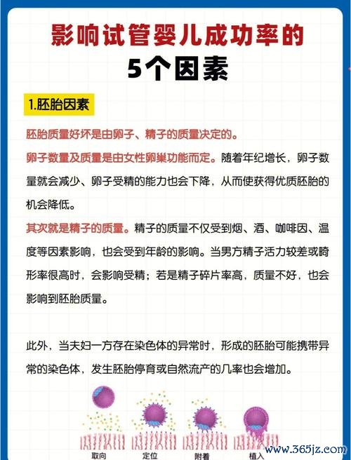 做试管婴儿的成功率有多少