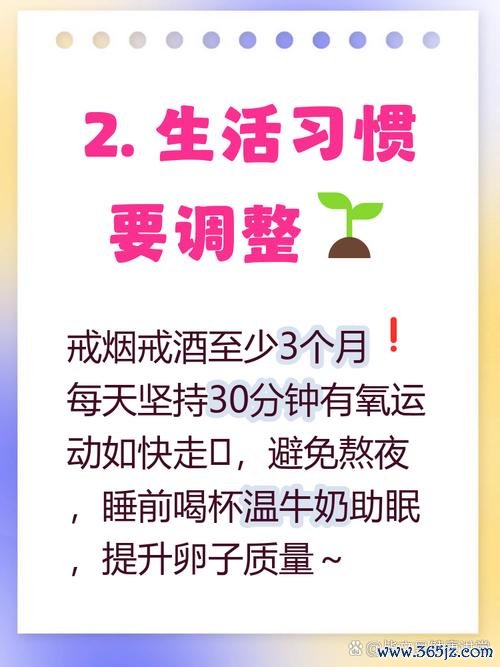 做试管婴儿的成功率有多少