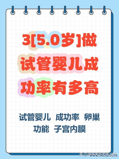 做试管婴儿的成功率有多高