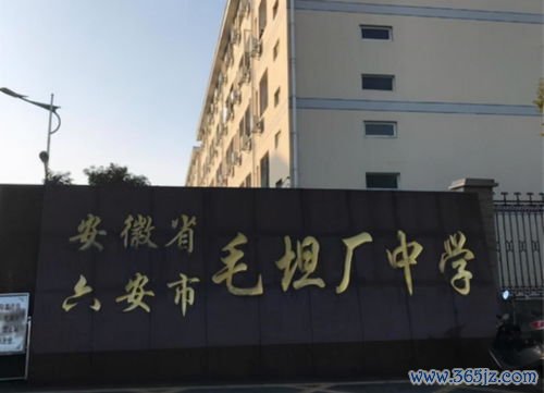 做试管婴儿的成功率有多高？一个周期