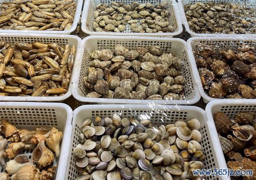 桥本氏病饮食：无麸质饮食真的有用吗？