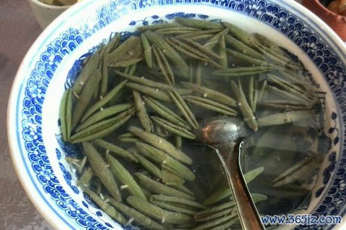 商陆逐水，疏凿饮子