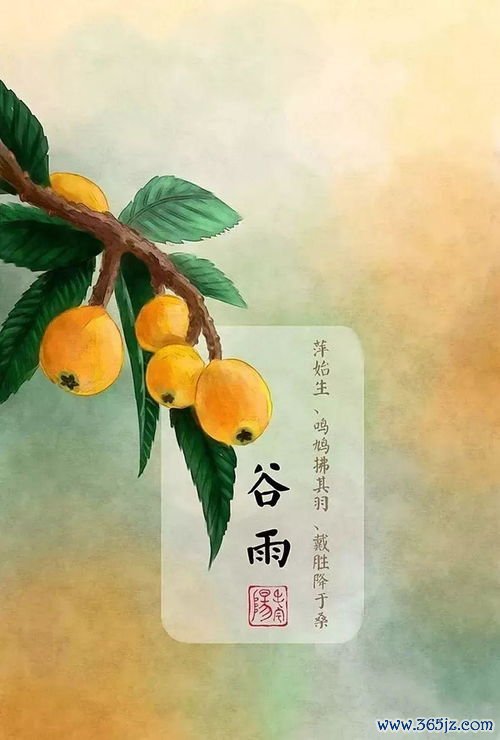 四季养生春养肝，夏养心脾秋养肺