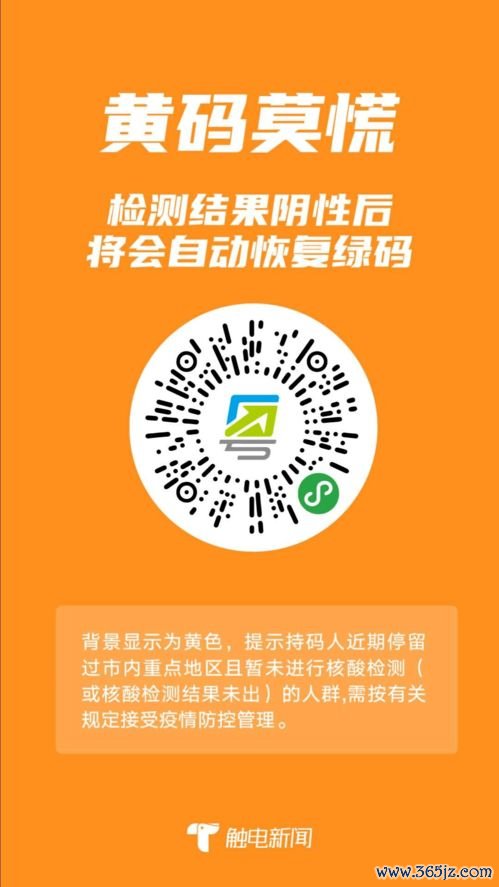 性保健品专卖店：性保健品与成人健康用品市场监管及消费者权益保护