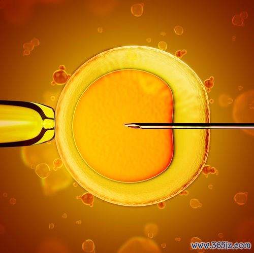 成功率,试管婴儿,多大,北京,哪家