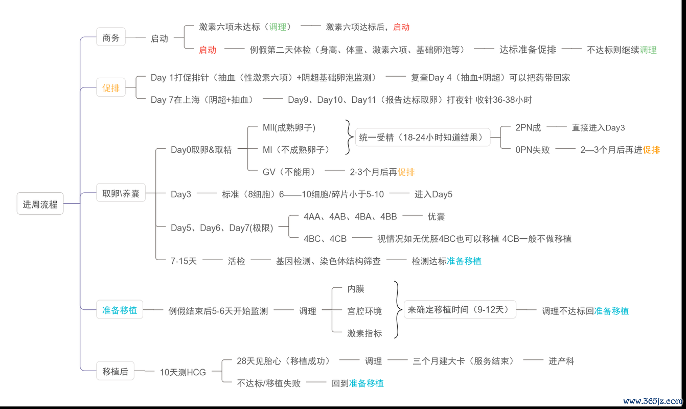 做试管婴儿的整个过程