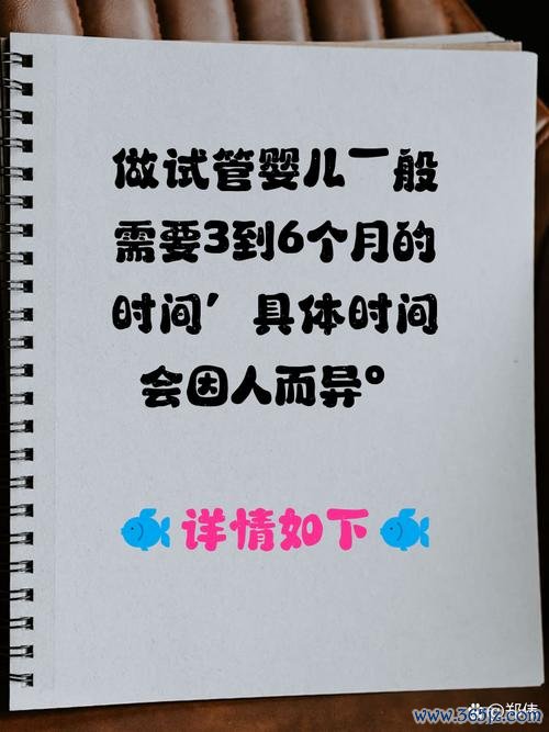 做试管婴儿的时间