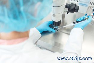 做试管婴儿的成功率有多大，影响因素