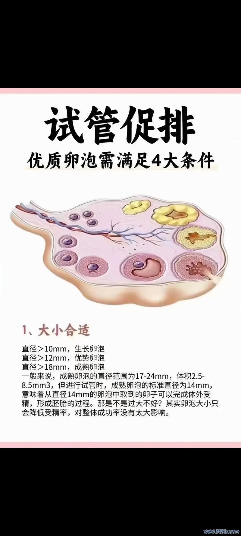 做试管婴儿的条件
