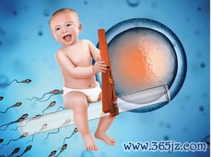 做试管婴儿的检查