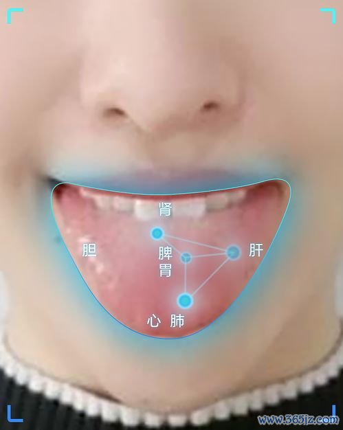 四诊,怎么,老中医,教你,通过