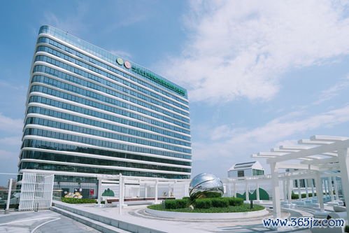 成华区,妇幼保健,服务,成都市,六人