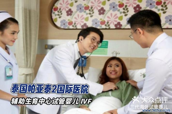 做试管婴儿的视频