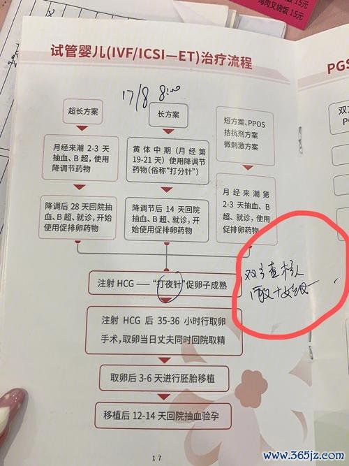 做试管婴儿的流程