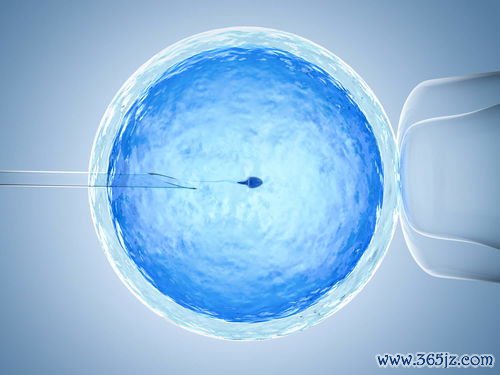 做试管婴儿的流程
