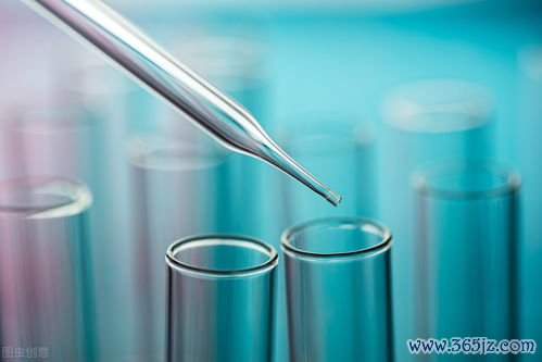 做试管婴儿的证件