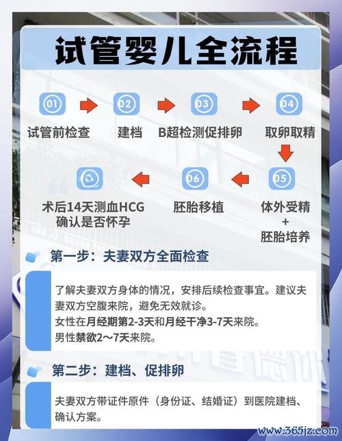 做试管婴儿的过程