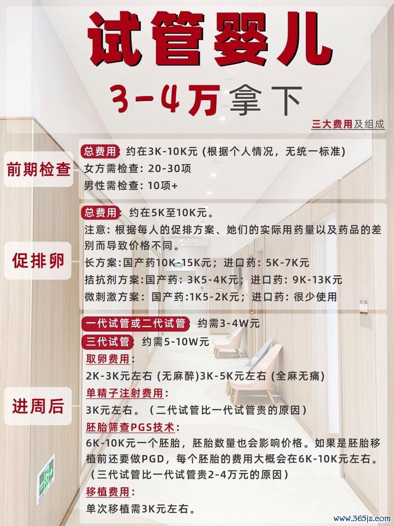 做试管婴儿的费用大概是多少