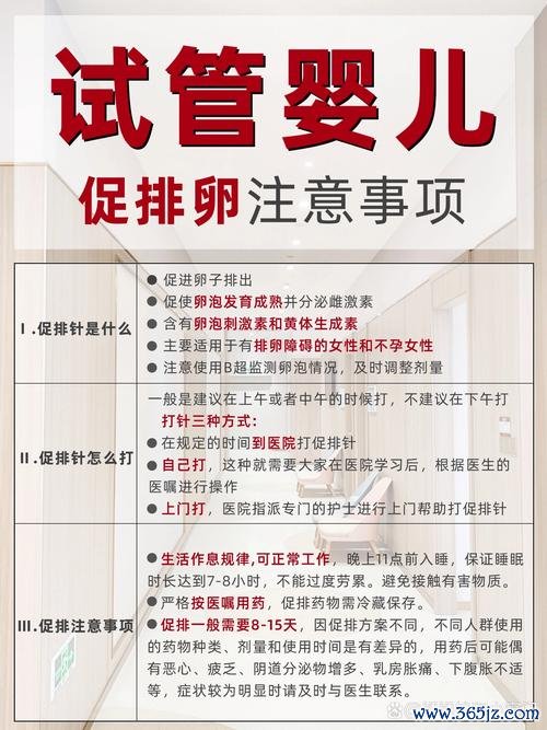 做试管婴儿的，后注意事项