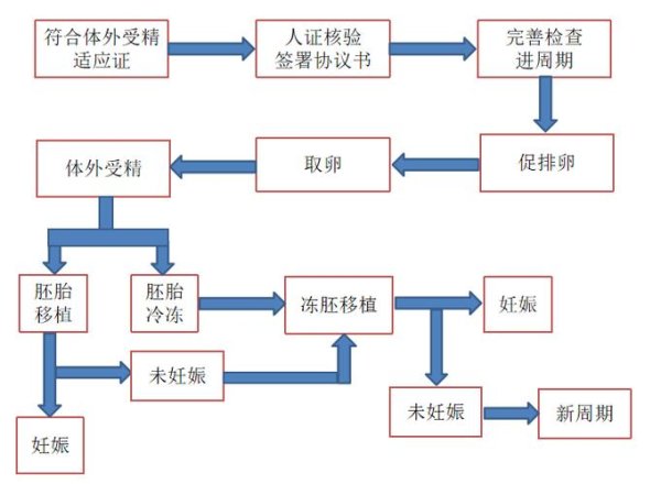 试管婴儿,注意事项