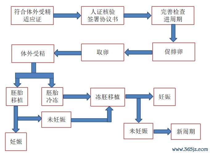 做试管婴儿的，后注意事项