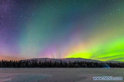 女性全生命周期健康管理青春期到更年期