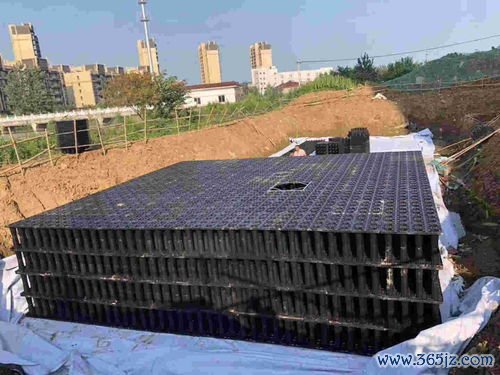 女性,如何,预防,性病,安全套