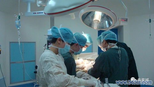 护理保健服务项目：护理保健与居家失能老人照护技能培训