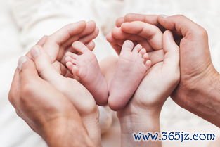 做试管婴儿能上班吗