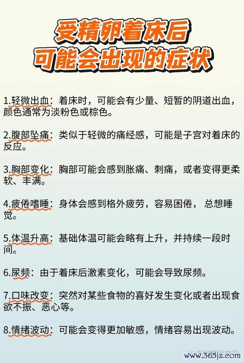 做试管婴儿移植疼不疼