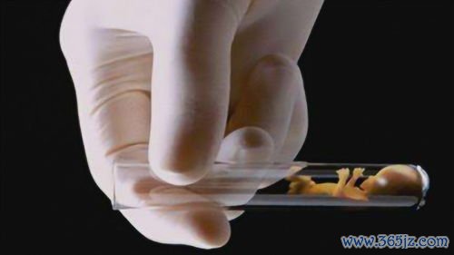 做试管婴儿移植疼不疼