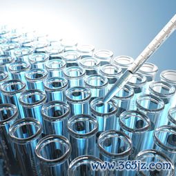 做试管婴儿能报销吗