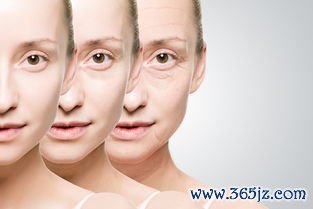 女性抗衰老吃什么保健品有用吗