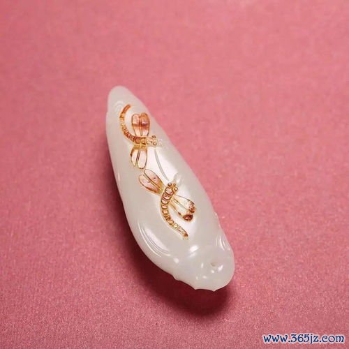 性病,高危,行为,该查,什么