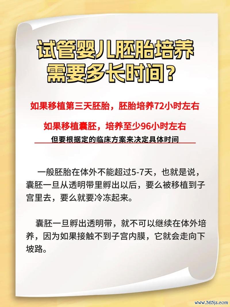 做试管婴儿要多久的时间