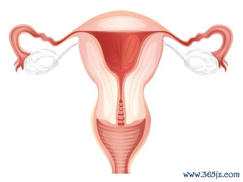 青春期多囊卵巢怎么调理会自愈吗