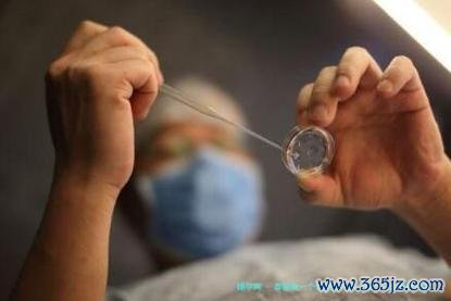 做试管婴儿要多少钱？去泰国做试管能选性别吗