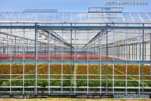 高催乳素血症吃什么药