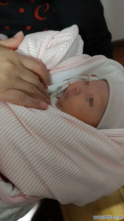 芍药,汤调,气和,湿热,痢疾