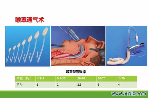 芍药汤调气和血，湿热痢疾后重除
