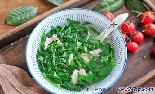 芦根,清热,生津,茅根,汤治