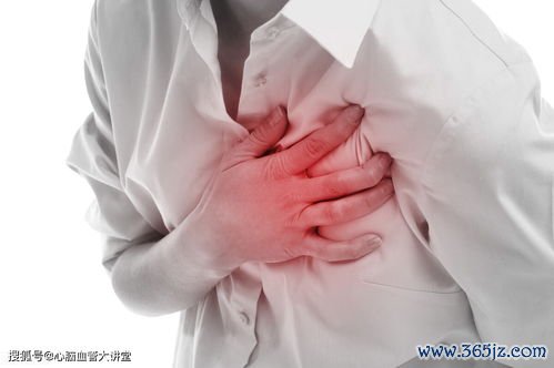 心血,不足,心慌,失眠