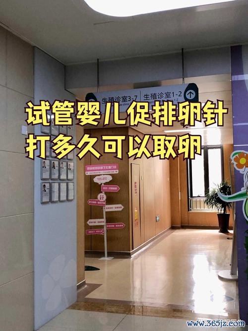 做试管婴儿要打多少针，促排卵针全记录