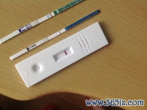 做试管婴儿要打多少针