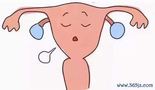 做试管婴儿要注意些什么