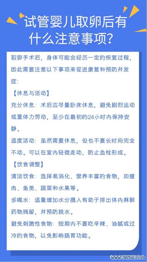 试管婴儿,注意,什么