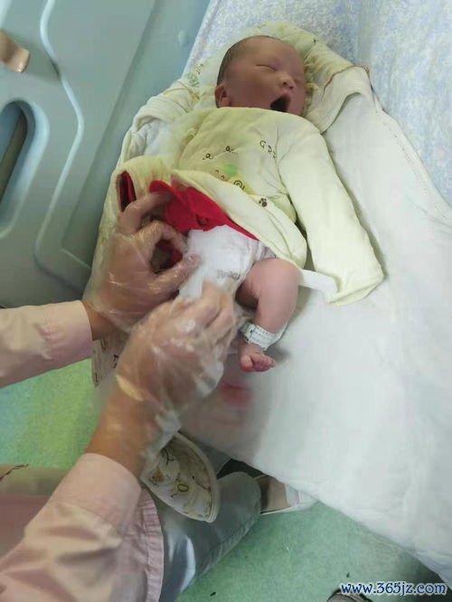 做试管婴儿要用多少钱