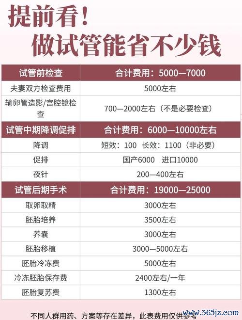 做试管婴儿费用