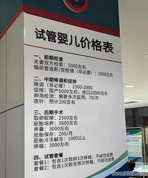 做试管婴儿费用