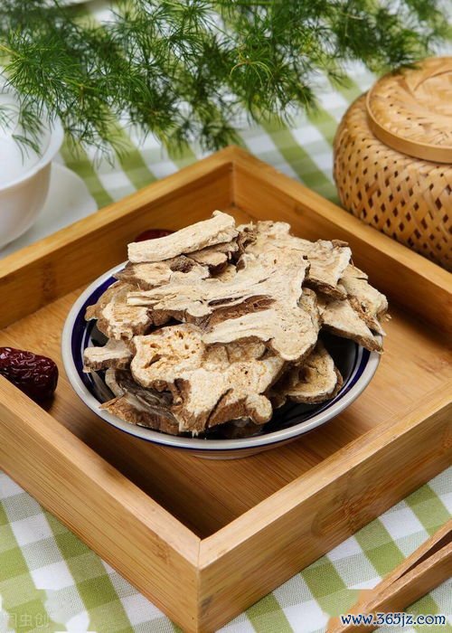 苍术,燥湿,平胃